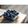 【預購｜台灣鮮採】新鮮收成藍莓，125g/盒｜呼密藍莓農場