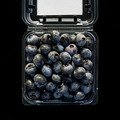 【預購｜台灣鮮採】新鮮收成藍莓，125g/盒｜呼密藍莓農場_1
