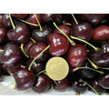 紐西蘭進口櫻桃【大嘴巴櫻桃28-32mm中大果】_2