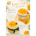 芒果夏洛特_1