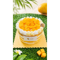 夏日光芒 (限自取)