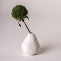 靜物花器 - 西洋梨_6