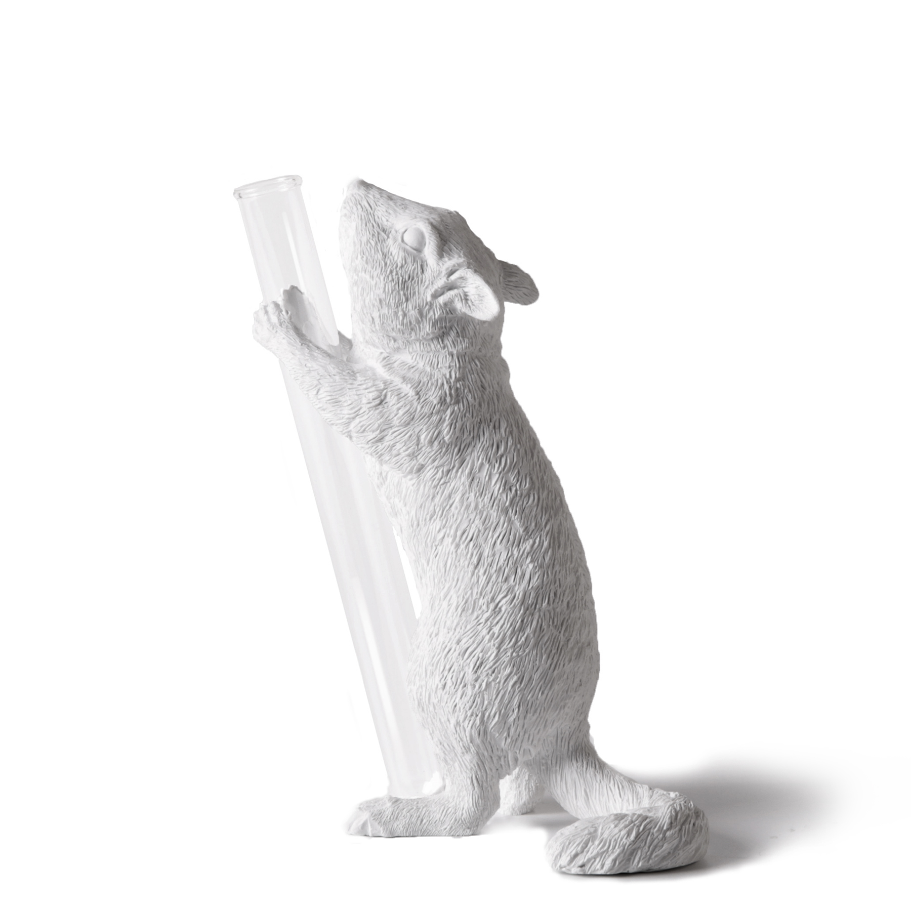 花栗鼠花器 - 送上祝福 仰望 01