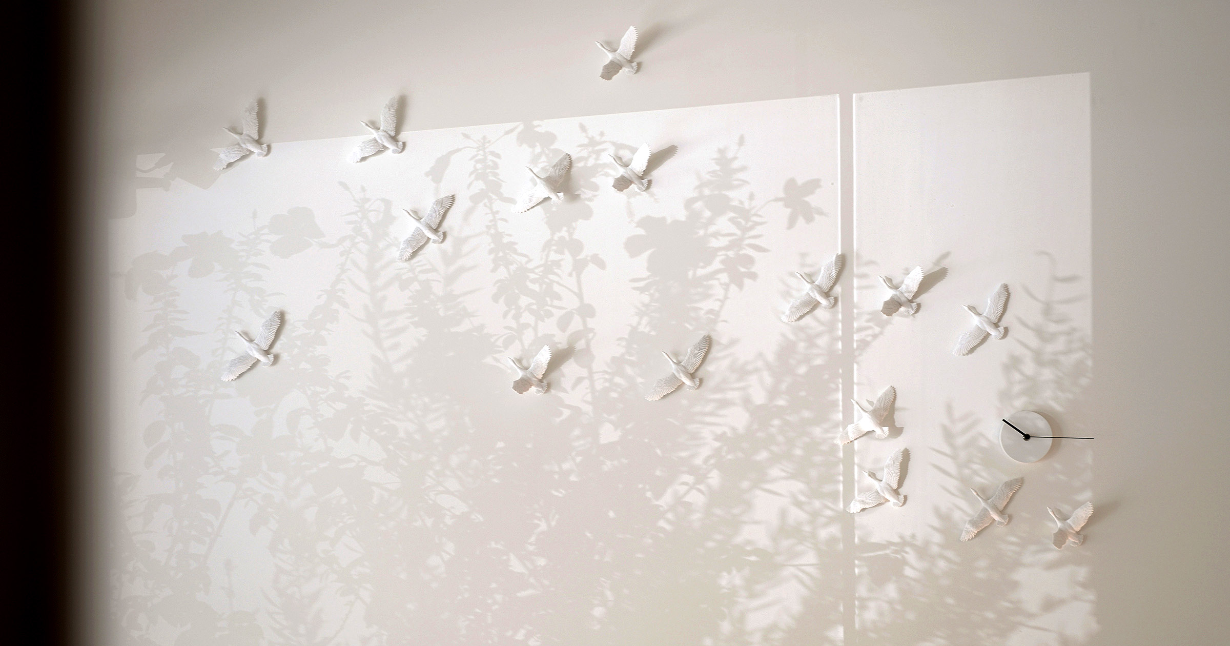 星期一的中午，我走進了永康街的陽光裡