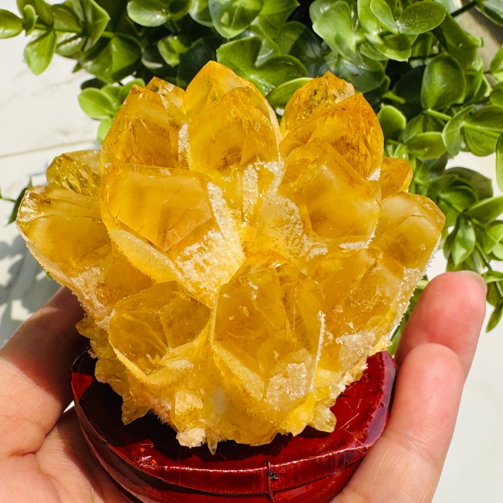 黃水晶晶簇︱日光顯化（7cm）_0