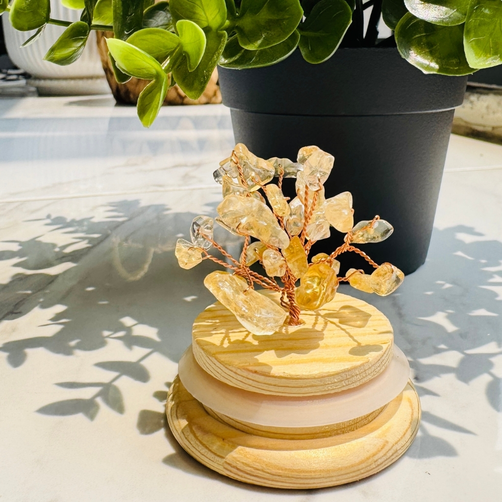黃水晶樹︱光的枝葉_0