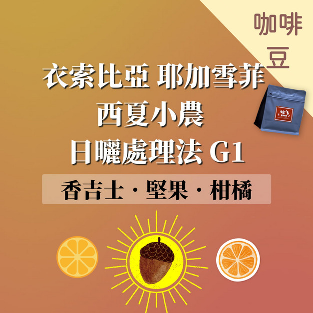  衣索比亞 耶加雪菲 西夏小農 日曬處理法 G1  咖啡豆