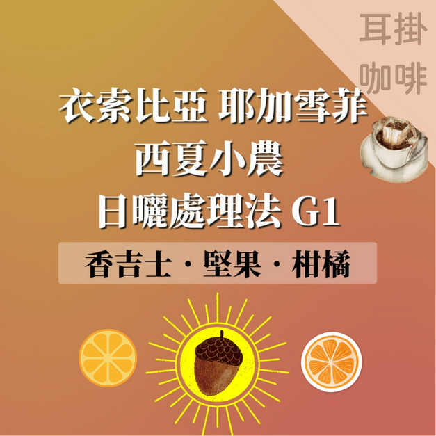  衣索比亞 耶加雪菲 西夏小農 日曬處理法 G1濾掛|耳掛咖啡 1