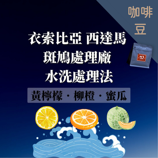 衣索比亞 西達馬 斑鳩處理廠  咖啡豆 水洗處理法  G1