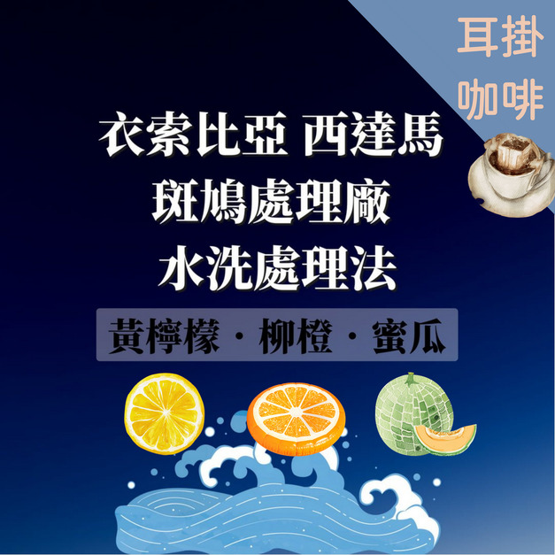衣索比亞 西達馬 斑鳩處理廠  濾掛|耳掛咖啡 水洗處理法  G1