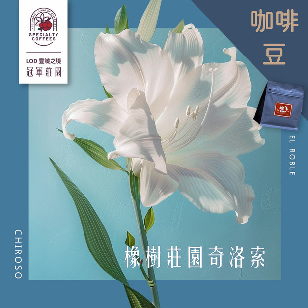 【新豆駕到】【LOD冠軍莊園】 哥倫比亞 橡樹莊園 奇洛索 精選微批次 水洗長發酵處理法 半磅咖啡豆