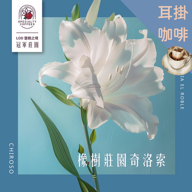 【新豆駕到】【LOD冠軍莊園】 哥倫比亞 橡樹莊園 奇洛索 精選微批次 水洗長發酵處理法 耳掛|濾掛咖啡