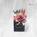 SÜSS 方型永生盆花/黑盆系列_6
