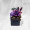 SÜSS 方型永生盆花/黑盆系列_1