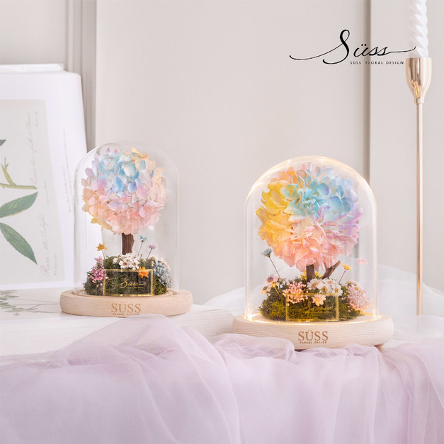 SÜSS 永恆彩色繡球樹 罩鐘系列