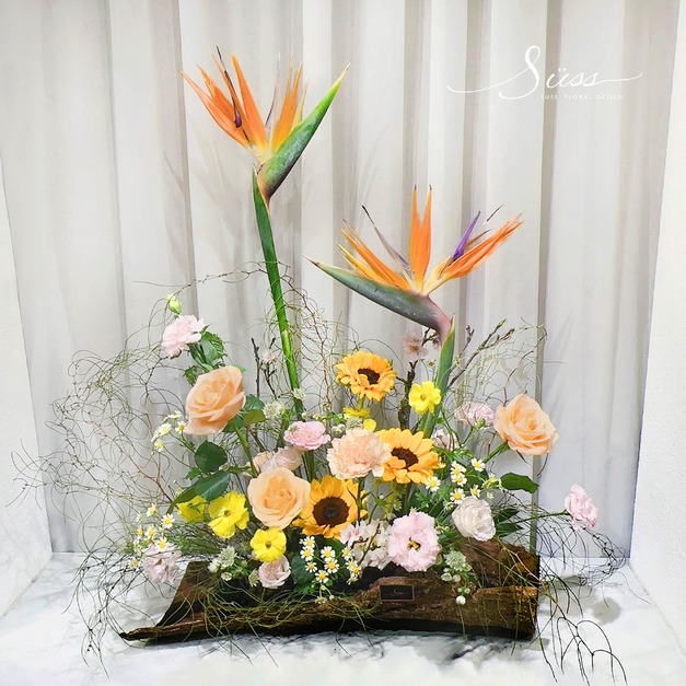 SÜSS 天堂鳥層次感鮮花盆花