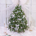 SÜSS 聖誕限定 新鮮松柏聖誕樹