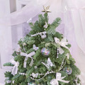 SÜSS 聖誕限定 新鮮松柏聖誕樹_1