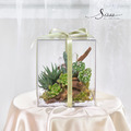 SÜSS 綠丘奇境 多肉植栽壓克力禮盒