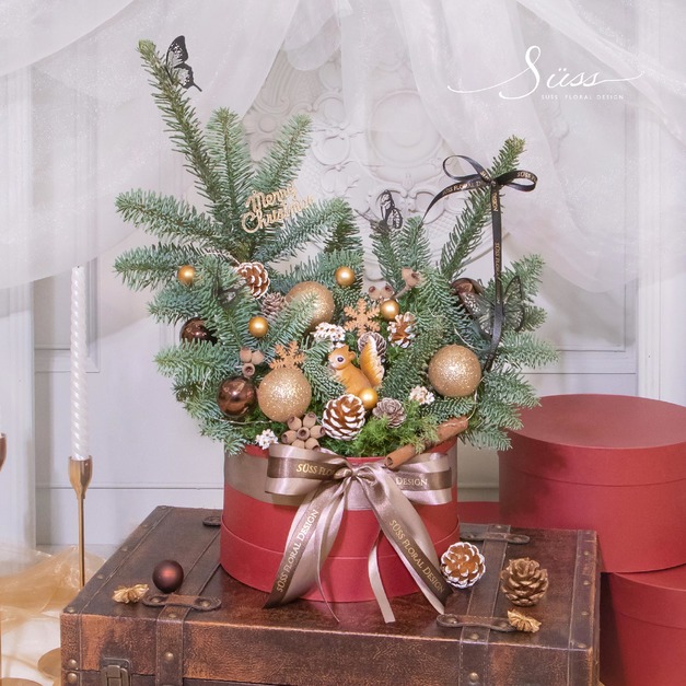 SÜSS 絲絨松語 聖誕禮盒 課程