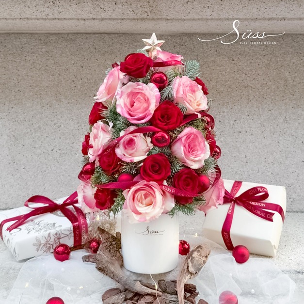 SÜSS 諾貝之詠 冬日心願樹 課程