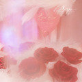 S&Uuml;SS Cupid 命定心弦 ⎻⎻ 永生不凋玫瑰花束_4