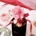 SÜSS 紅絲絨馨語 永生盆花_3