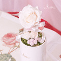 S&Uuml;SS 微光序曲 永生盆花_2