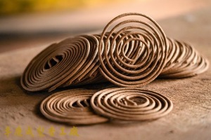 台灣肖楠小盤香/微盤香 限量樹頭版