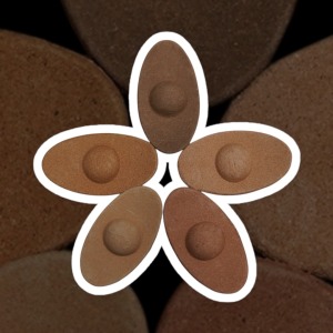 五行元寶  5斤裝  金蛇優惠組