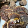 靈芝香 整塊煙供用 半斤裝_1