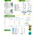 【台灣製造】H型單面海報展架(60x160cm,可選購大圖)_4