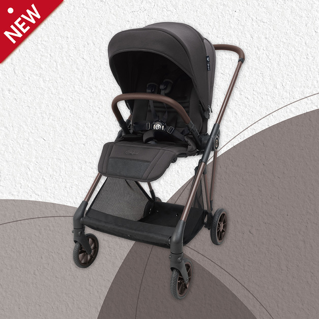 iCarbon SOLEMNITY 墨木 ( 預購中 / 約 5月初 到貨 )