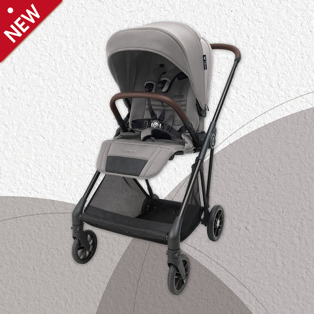 iCarbon WISDOM GRAY 風岩 ( 預購中 / 約 5月初 到貨 )