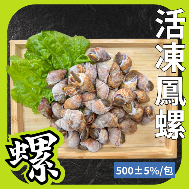 活凍鳳螺