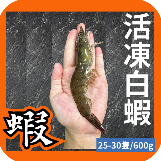 台灣活凍白蝦