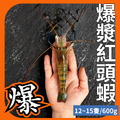爆漿紅頭蝦 1斤約12~15隻