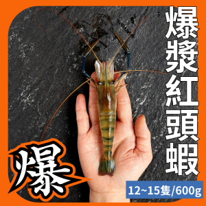 爆漿紅頭蝦 1斤約12~15隻