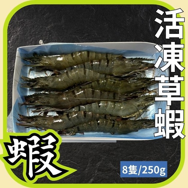 8P活凍草蝦