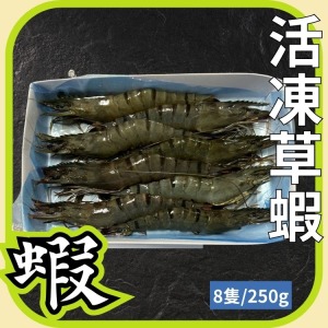 8P活凍草蝦