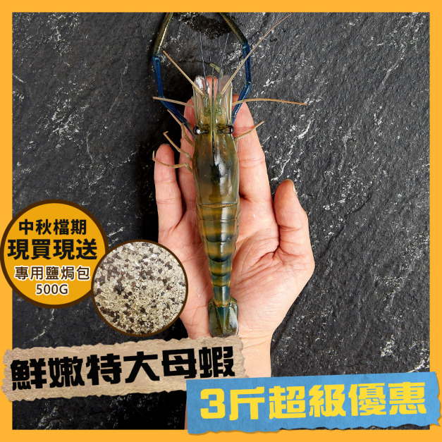 【中秋限定】3斤特大母蝦+另贈鹽焗500g 1斤約8~10隻