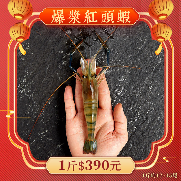 爆漿紅頭蝦【新年最強優惠】 1斤390元  1斤約12~15隻