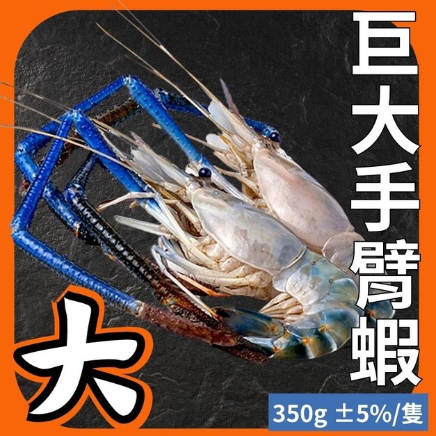 泰國蝦巨大手臂蝦