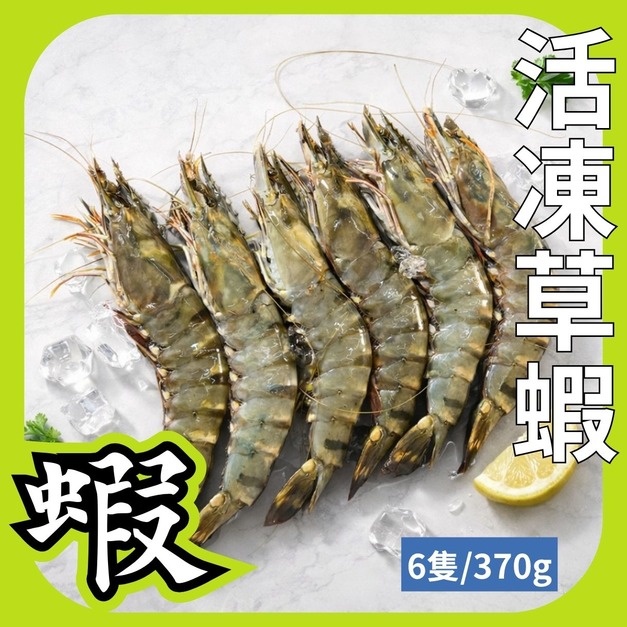 6P活凍草蝦