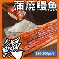 蒲燒鰻魚