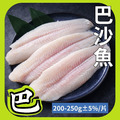 鮮嫩巴沙魚