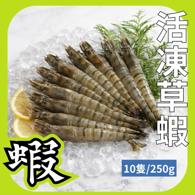 10P活凍草蝦