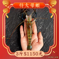 【限量】特大母蝦 3斤1000元 1斤約8~10隻