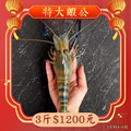 特大蝦公【新年最強優惠】 3斤1080元 1斤約4~6隻