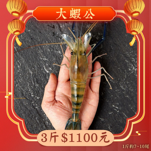 【限量】大蝦公 3斤1100元 1斤約7~10隻